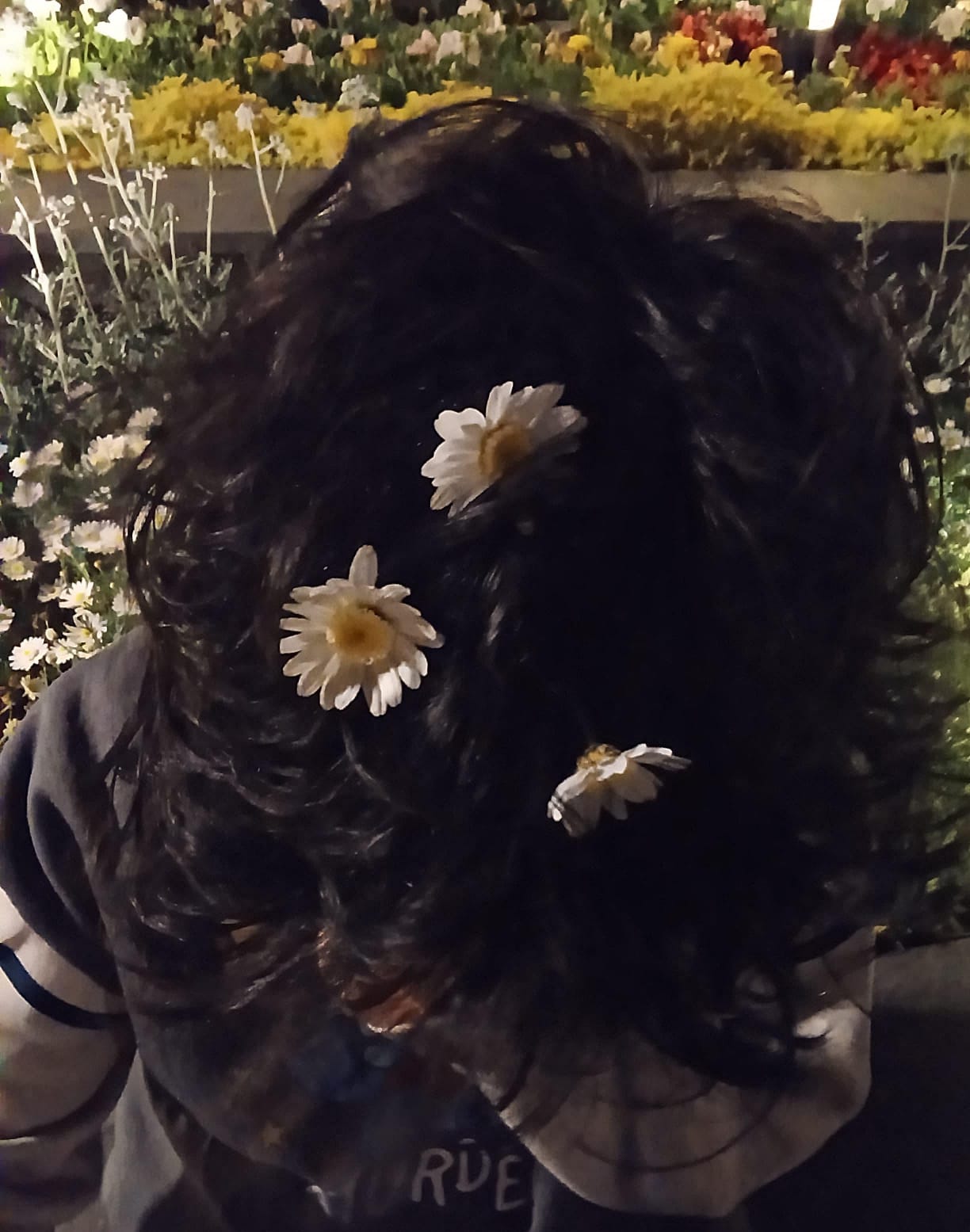 Ana Fotoğrafımız
